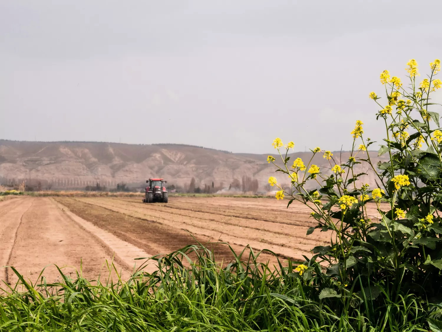 La technologie du vide dans l’industrie agroalimentaire : une mission cruciale pour le secteur industriel n°1 de France